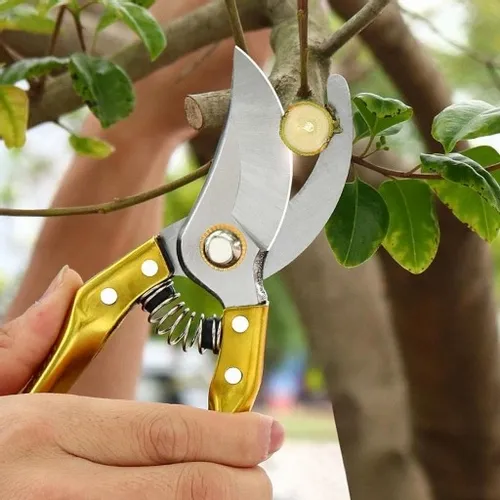 SEKATOR NOŻYCOWY DO GAŁĘZI NOŻYCE DO DO PRZYCINANIA Z BLOKADĄ 220 MM na Arena.pl