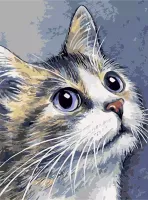 Malowanie po numerach 30x40cm Kotek szary