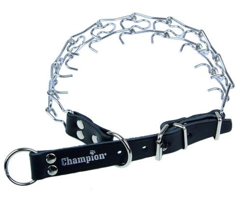 Champion Kolczatka [2 RYM] na Arena.pl