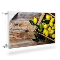 MASKOWNICA Magnetyczna Kaloryfera CYTRYNY Cytrusy Deski 100cm x 60cm