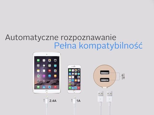 Ładowarka samochodowa Vigor Grey na Arena.pl