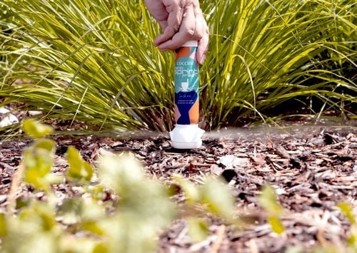 COCCINE NANO DEZODORANT SPRINT FRESH ŚWIEŻY DŁUGOTRWAŁY ZAPACH 100ML na Arena.pl