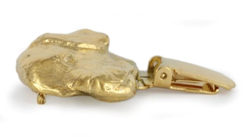 Labrador Retriever - klips - 2615 na Arena.pl