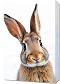 Obraz 40x60cm Vintage Artystyczny | Królik 1 | Portret Zwierząt  Pop Art