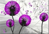 100 70CM OBRAZ PŁÓTNO DMUCHAWCE FIOLECIE PŁÓTNO RAMA