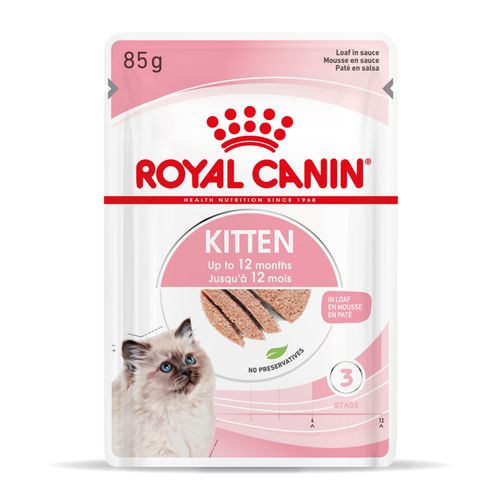 royal canin kitten pasztet 12x85g na Arena.pl