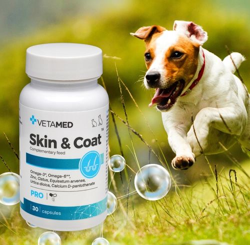 SUPLEMENT na SKÓRĘ I SIERŚĆ dla PSA I KOTA VETAMED 30 kapsułek + GRATIS na Arena.pl