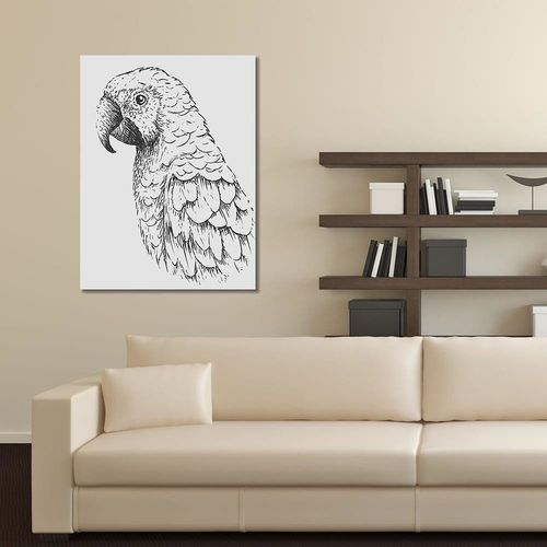 Deco Panel, Rysunek papugi 40x60 na Arena.pl