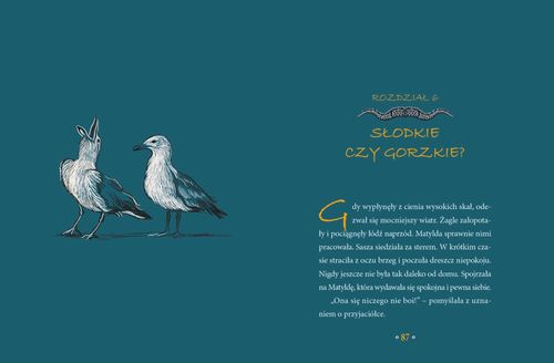 Rada smoków na Arena.pl