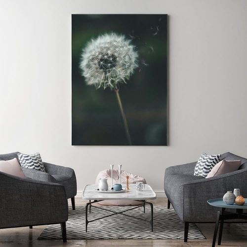 Obraz na płótnie – Canvas, dmuchawiec 80x120 na Arena.pl