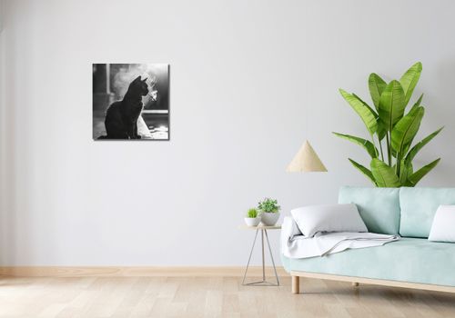 Obraz 50x50cm Kocia Przerwa na Arena.pl