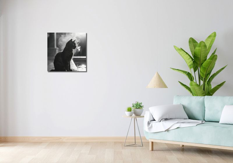 Obraz 50x50cm Kocia Przerwa zdjęcie 2