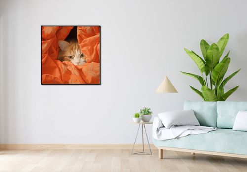 Plakat 80x80cm Ukryty Kot na Arena.pl