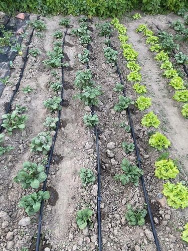 LINIA KROPLUJĄCA NAWADNIANIE Kropelkowe Wąż pocący kroplujący 100 mb na Arena.pl