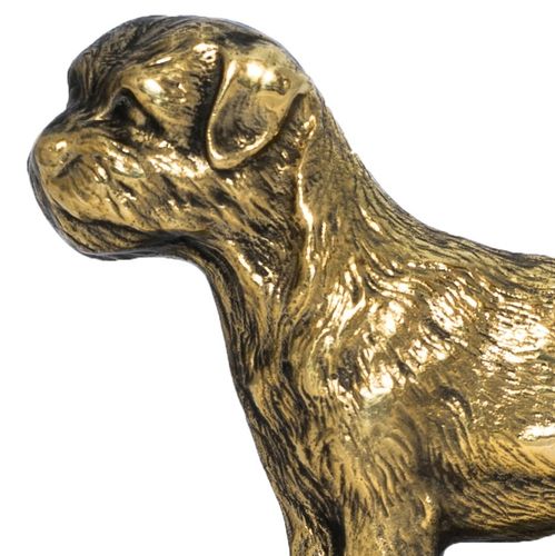 Border Terier - tabliczka - 1688 na Arena.pl