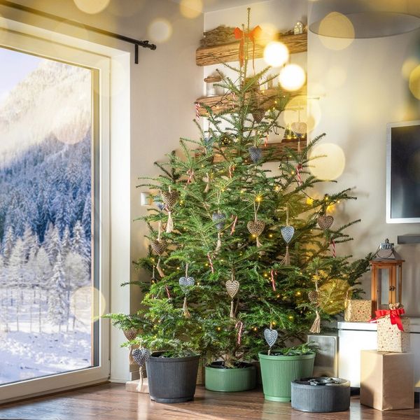 STOJAK POD CHOINKĘ NA CHOINKI CHOINKOWY PODSTAWKA DRZEWKO 1,5m zdjęcie 3