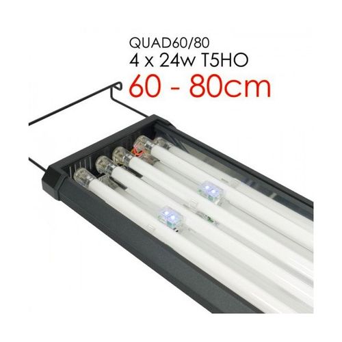 Odyssea QUAD 4x24 W + LED (60-80cm) na Arena.pl