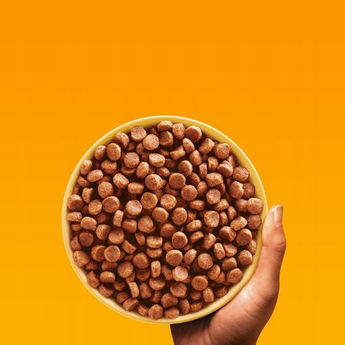 PEDIGREE Junior sucha karma dla szczeniąt z drobiem i warzywami 12 kg na Arena.pl