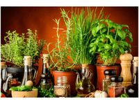 60X40CM PRZYPRAWY ZIOŁOWE OBRAZ