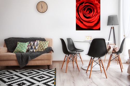 Obraz 80X120 Piękna Rozkwitająca Róża na Arena.pl