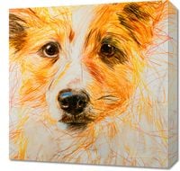 product-compare-59494122