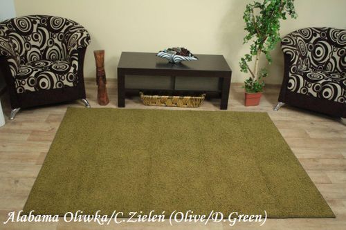 DYWAN SHAGGY 2cm ALABAMA 150x250cm na Arena.pl