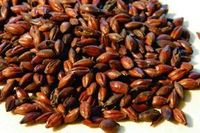 Słód Brown  180 - 190 EBC 0,5 kg - Fawcett