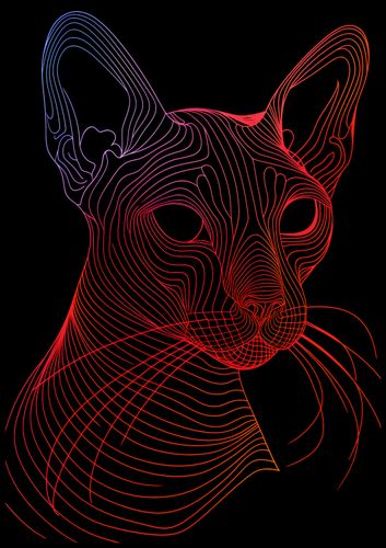 Plakat 70x100cm Cyfrowa Kocica na Arena.pl