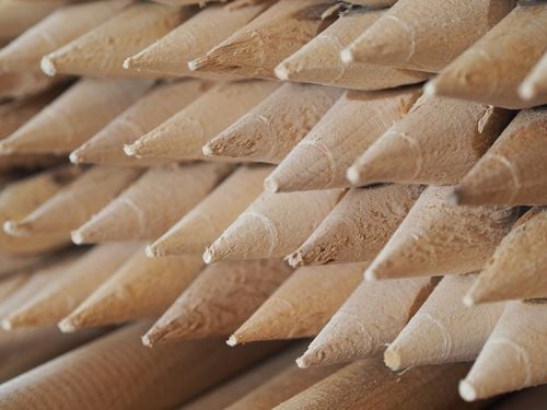 Paliki drewniane geodezyjne 30cm-100szt na Arena.pl