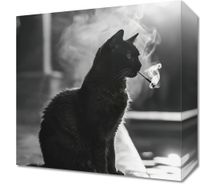 product-compare-59491573