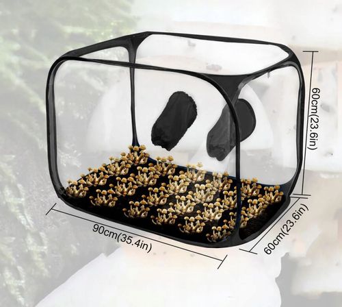 Namiot POJEMNIK do DOMOWEJ UPRAWY GRZYBÓW Składany MOBILNY Przenośny XL na Arena.pl