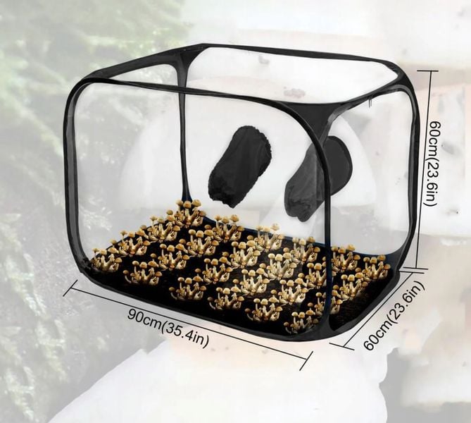 Namiot POJEMNIK do DOMOWEJ UPRAWY GRZYBÓW Składany MOBILNY Przenośny XL zdjęcie 3