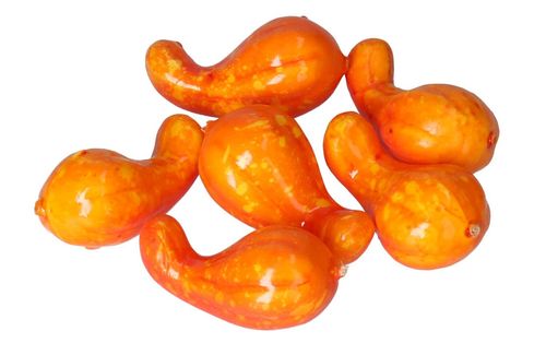 SZTUCZNE DYNIE DEKORACJE JESIENNE JESIEŃ DYNIA 6SZT. na Arena.pl