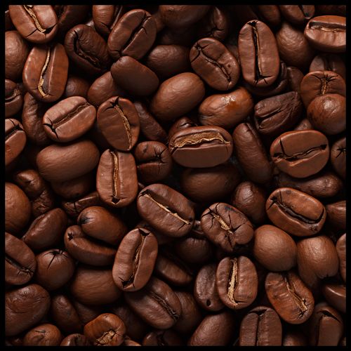 Plakat 100x100cm Esencja Aromatu na Arena.pl