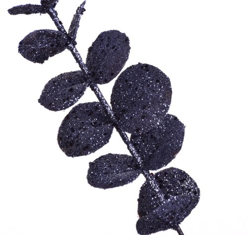 Eukaliptus brokatowy tytan na Arena.pl