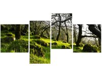 140CM 70 OBRAZ LEŚNA POLANA DON MCCULLOUGH ŚCIENNY