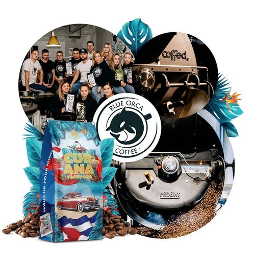 Kawa ziarnista 1KG CUBANA TOCORORO Świeżo Palona 100% ARABICA + GRATIS na Arena.pl