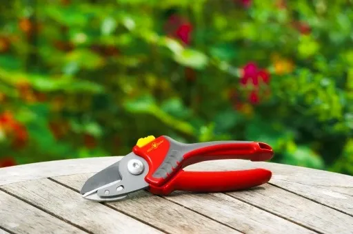 Sekator kowadełkowy Wolf Garten RS 2500 zdjęcie 4