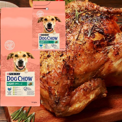 sucha karma psa purina dog chow indyk z prebiotykiem 14kg + 2,5kg gratis na Arena.pl