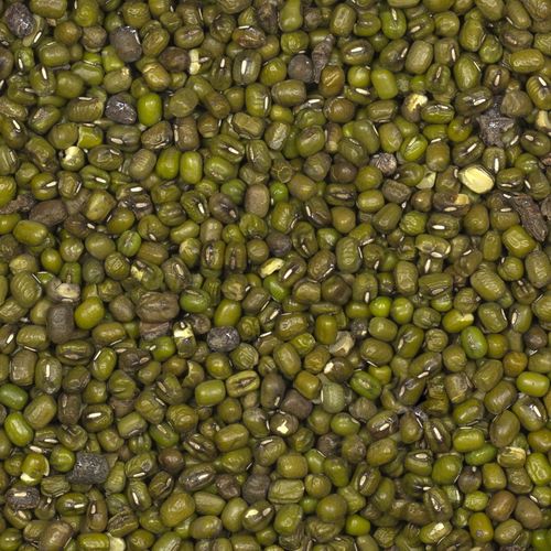 Fasola mung 1kg (2x500g) na Arena.pl