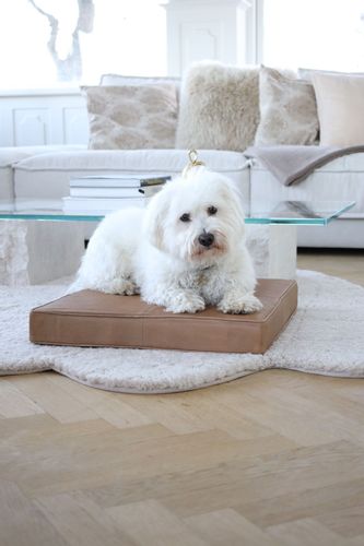 Legowisko Premium Collection na Arena.pl