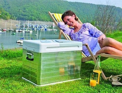 LODÓWKA MOBICOOL 9105302772 SZARA 39L na Arena.pl