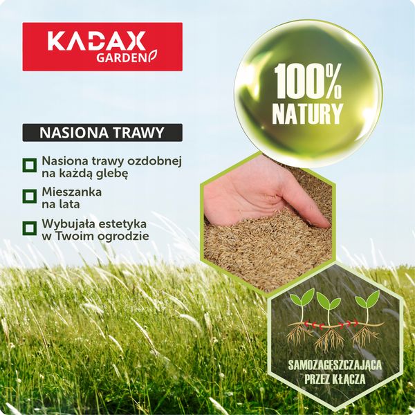 TRAWA OZDOBNA TRAWNIK SAMOZAGĘSZCZAJĄCA 10 KG zdjęcie 2