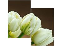 product-compare-58646650