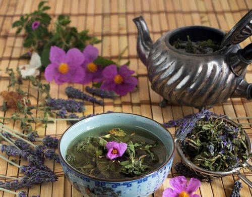 Czystek suszony 1kg Cistus Herbata / BIOSWENA na Arena.pl