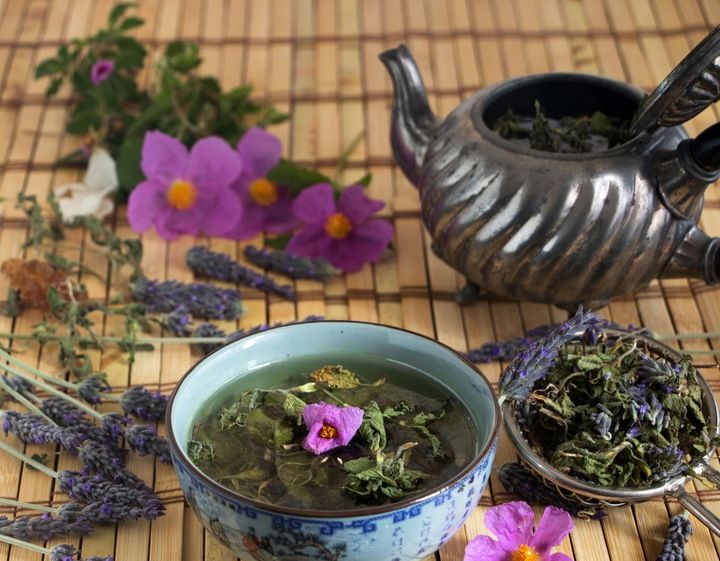 Czystek suszony 1kg Cistus Herbata / BIOSWENA zdjęcie 4