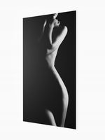 Grzejnik dekoracyjny z OBRAZEM ART27. 545x970