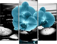 60 90CM OBRAZ 3 ELEM STORCZYK KAMIENIE ŚCIENNY DRUK PŁÓTNO