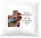 Poduszka z nosaczem -  Po co zamawiać jedzenie?