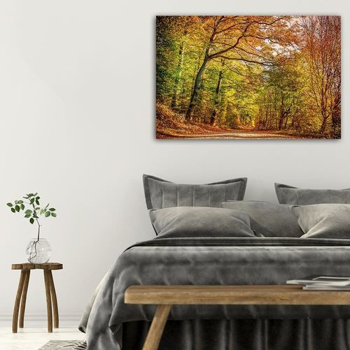 Deco Panel, Droga w lesie jesienią 60x40 na Arena.pl